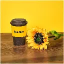 KOOSH-9125-KOOSH-9125-STYLED-01_1024X1024.webp